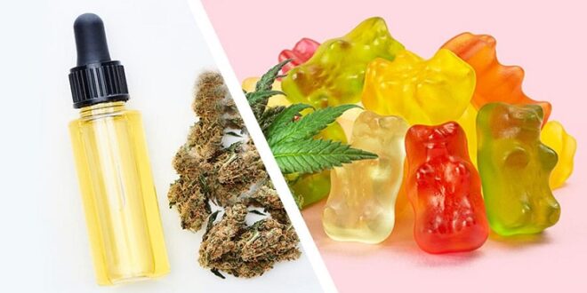 Can You Consider CBD Gummies A Perfect Snack