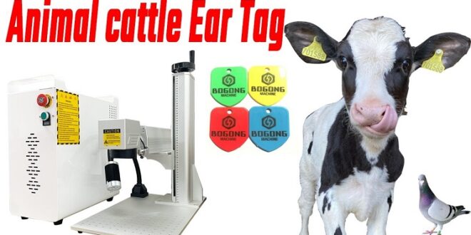 How to Engrave Cattle Ear Tags