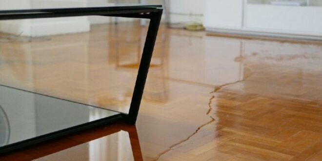 What are the common causes of water damage