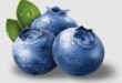 blueberry shortage 2023