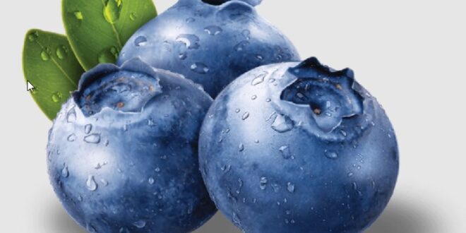 blueberry shortage 2023