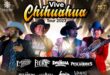 vive chihuaha fest