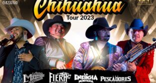 vive chihuaha fest