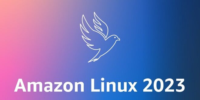 Amazon Linux 2023 in AWS23k