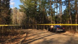 effingham county ga breaking news