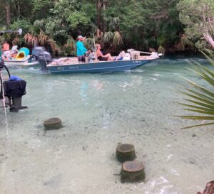 weeki wachee news