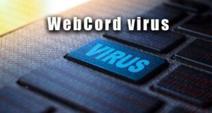 Webcord Virus: Understanding the Modern Digital Threat