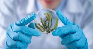 Understanding HCOOCH CH2 H2O in Biochemistry: Structure, Role, and Relevance