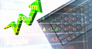 Exploring the Investment Secrets Behind XRP Price Trends