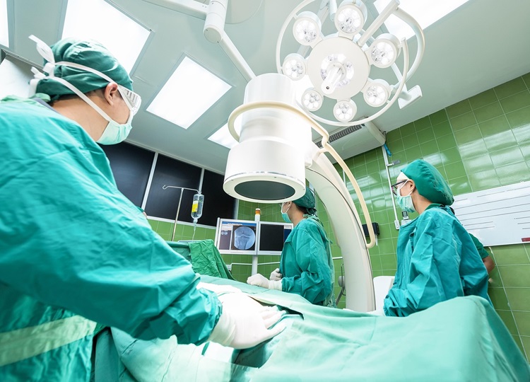 What To Expect During Your Pet’s Visit To An Animal Hospital
