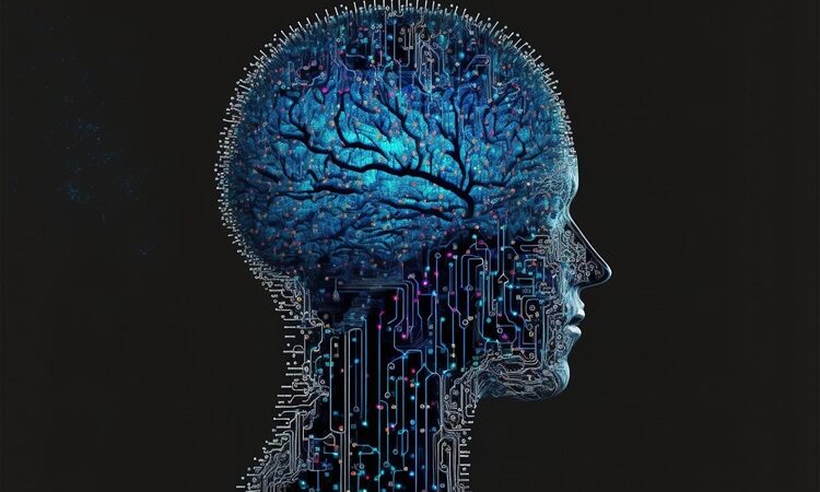 The Science of Anxiety: How It Affects Brain and Body