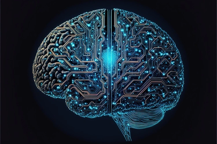 How Attorneys Handle Traumatic Brain Injury Cases